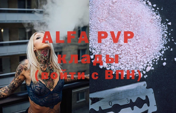 прущие грибы Краснослободск